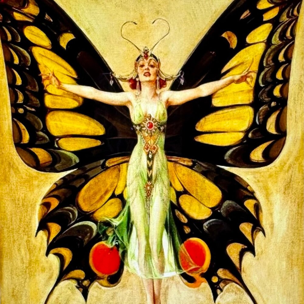 Meet your Posher, Laura